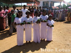 ����C���[�W